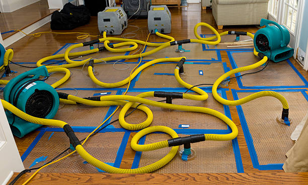 Professional Structural Drying And Dehumidification technician working in Lynnwood, WA